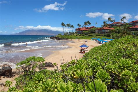 rolex maui wailea|rolex in wailea hawaii.